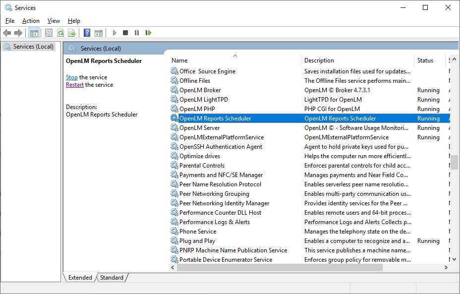 OpenLM Reports Scheduler in the Services window